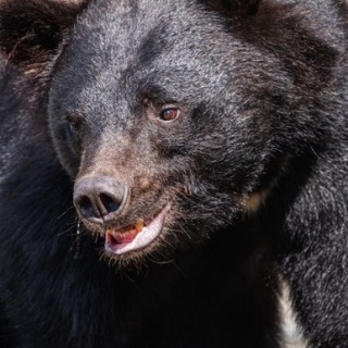 登山ちゃんねる