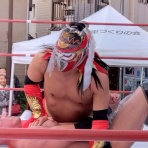 プロレスGOサイン-平成プロレスラーのサイン回想記‐