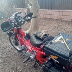 ももんがの飛膜