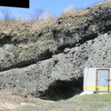 『神恵内村の火山岩の産状、神恵内漁港の火山円礫岩』の画像