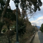 気ままにデータ作業