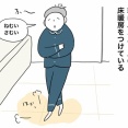 ねこ、朝の新たなルーティン。
