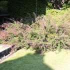 『秋日和　５』の画像