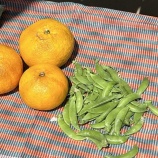 �زƤߤ���ȥ���ɥ�Ʀ�Ȥ��ҤŤ��٤β���