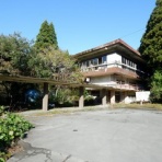 オバサンヘアーでゴーゴー