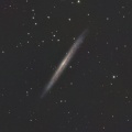 SN2026kid in NGC5907