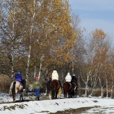 富良野の四季に抱かれ、自分を解放する。「NOZO HOTEL」で味わうソロステイの悦び。