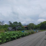 ロードバイク後の酒が美味い