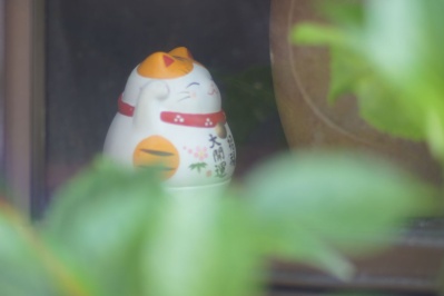 EBC FUJINON.T 135mm f2.5(M42) : 会計士によるバリューアップ