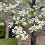 孫ちゃんに離乳食を食べさせながら、食育についてあれこれ