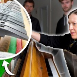 『ピアノのハンマーをハンマーにした動画』の画像