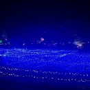 イルミネーション