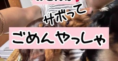 もしかしてあれが原因？