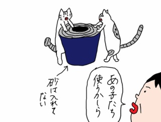 使い方間違っているネコたち