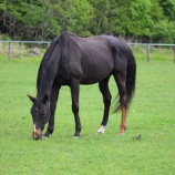 『久しぶりの発作』の画像