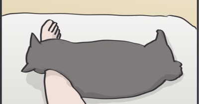 猫が身体を舐めているところを支えるのが嬉しい