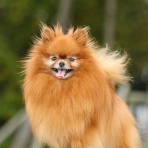 不思議.net - 5ch(2ch)まとめサイト