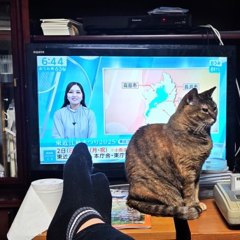 わたしがカメラマン