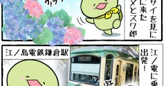 ホヌヌとスワ郎の鎌倉紫陽花紀行