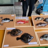 『道の駅やまだ「おいすた」の外店舗！』の画像