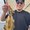 9月15日の調査報告🦑🦑🐙