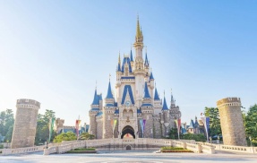 ディズニーランドで野良猫に引っかかれ噛まれた利用客、運営に補償などを求める言動をして炎上してしまう…　お前ら、どう思う？