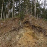 『田の浜　小田の御所跡　その２』の画像
