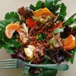 �����ī��5ǯ��٤β���