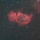 IC1848（Sh2-199　ソウル星雲、胎児星雲）（Asker FRA300Pro）(2025/12/12)
