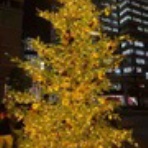 音楽とともに～ピアノ弾き　寺本沙綾香　～