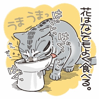 グルメパンデミック