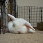 I'm so Happy -君が大好き-