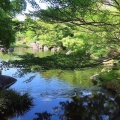 �沰�ߤ����Ϥ�椯�Ƥ���