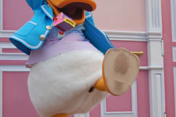 ディズニーシー写真館