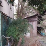 ニュース逆さ読み