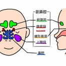 耳鼻科　9月の定期検診