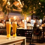 『全5種の自家製レモンサワーブースが登場。吉祥寺コロニアルガーデンで「レモンサワー＆ビアガーデン」開催』の画像