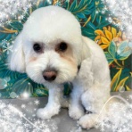 神奈川県 ワンラブ アウトレット平塚店のスタッフブログ