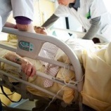 『「余命半年」の宣告…』の画像