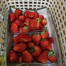 2026.2月のスケジュール