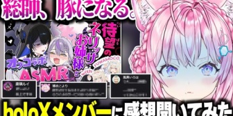 【ホロライブ】豚となった秘密結社holoX総帥の話をするこよりww