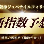 競馬穴馬予想《指数が全て》