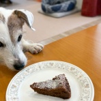 華・あず＆レン