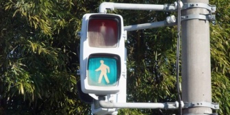 5歳の息子が青信号を「青じゃないよ緑だよ！緑信号！」青い果実を「青じゃない緑！」と訂正してくる…