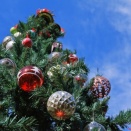 2025年(令和7年)１２月　菊野台ヨガのスケジュール