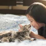 今を生きる～猫と共に