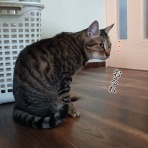 moroのハンドメイド