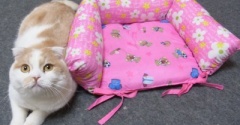 100円クッションで作った猫ベッドの人気再燃！？