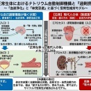 塩の取りすぎなど、本来起こらない。抗生物質の通院のたびに毎回連続投与が原因