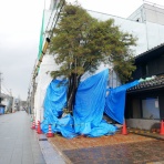 音楽練習室flos campi